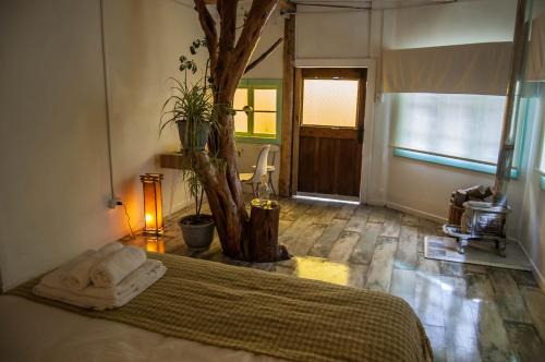 Cabaña & Spa Sentido Vital