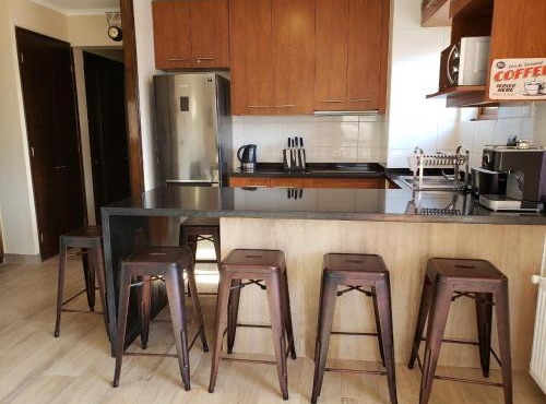 Valle Nevado Vip Apartment Ski Out-In