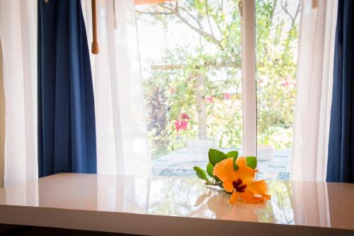 Hotel Taura'a