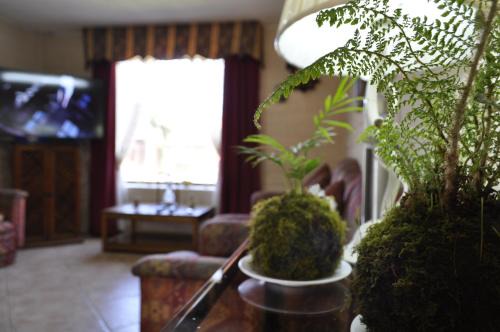 Santa Elena de Maipo Home